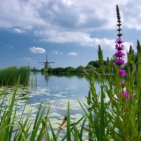 Blauwvaal * Sint Maartensvlotbrug