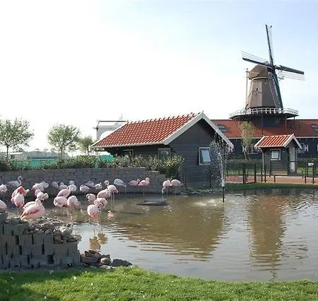 Blauwvaal * Sint Maartensvlotbrug